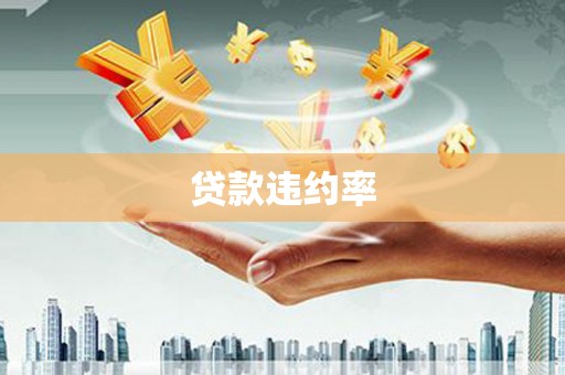 小金贷款违约率