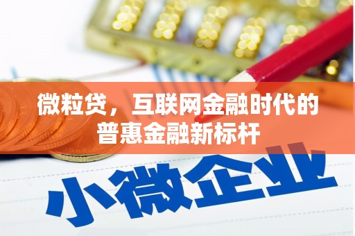 小金微粒贷，互联网金融时代的普惠金融新标杆
