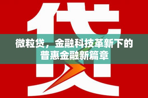 小金微粒贷，金融科技革新下的普惠金融新篇章