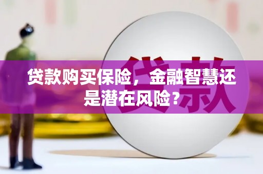 小金贷款购买保险，金融智慧还是潜在风险？