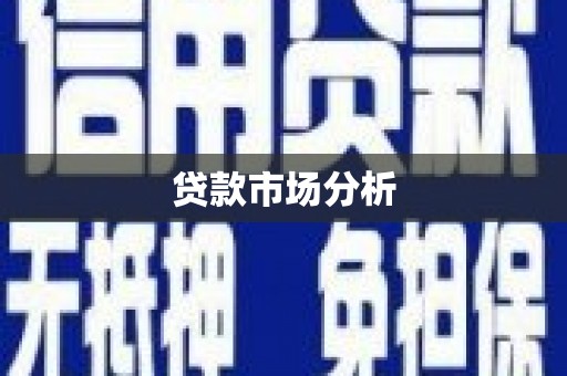 小金贷款市场分析