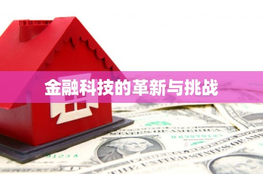 小金金融科技的革新与挑战