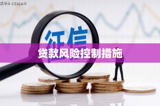 小金贷款风险控制措施