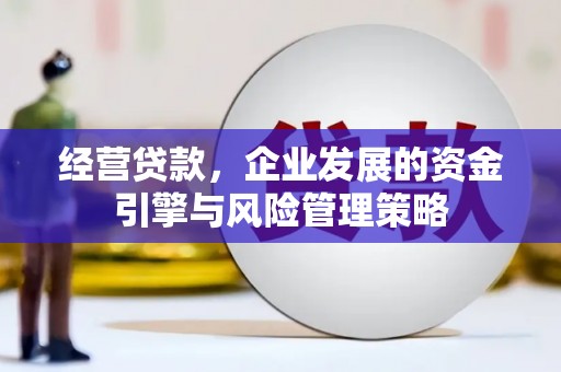 小金经营贷款，企业发展的资金引擎与风险管理策略