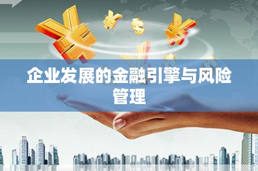 小金企业发展的金融引擎与风险管理