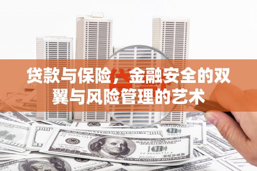 小金贷款与保险，金融安全的双翼与风险管理的艺术
