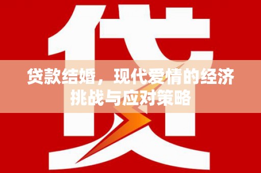 小金贷款结婚，现代爱情的经济挑战与应对策略