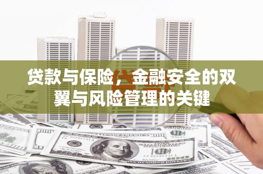 小金贷款与保险，金融安全的双翼与风险管理的关键