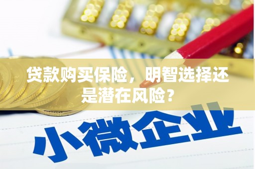 小金贷款购买保险，明智选择还是潜在风险？