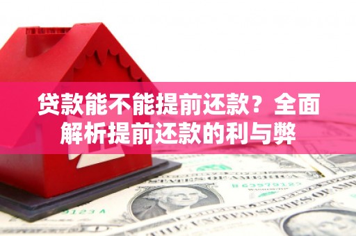 小金贷款能不能提前还款？全面解析提前还款的利与弊