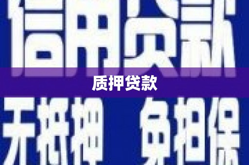 小金质押贷款