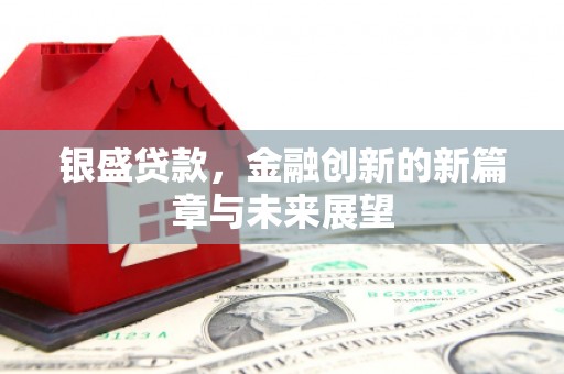 小金银盛贷款，金融创新的新篇章与未来展望