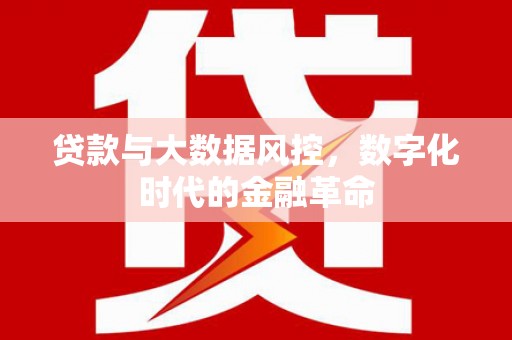 小金贷款与大数据风控，数字化时代的金融革命
