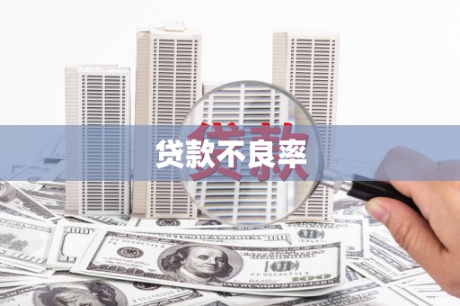 小金贷款不良率
