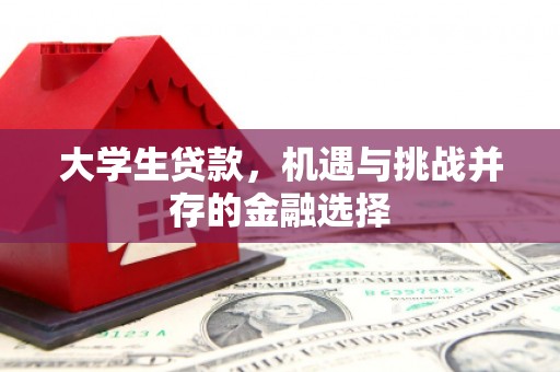 小金大学生贷款，机遇与挑战并存的金融选择