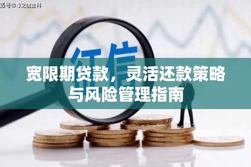小金宽限期贷款，灵活还款策略与风险管理指南