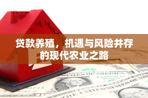 小金贷款养殖，机遇与风险并存的现代农业之路