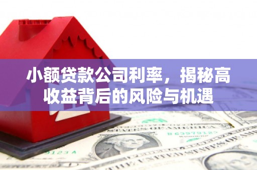小金小额贷款公司利率，揭秘高收益背后的风险与机遇