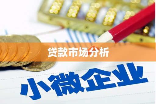 小金贷款市场分析