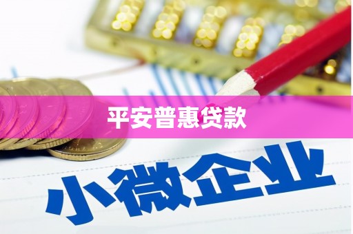 小金平安普惠贷款