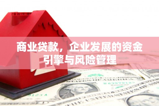 小金商业贷款，企业发展的资金引擎与风险管理