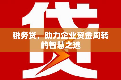 小金税务贷，助力企业资金周转的智慧之选