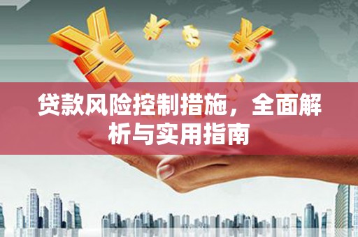 小金贷款风险控制措施，全面解析与实用指南