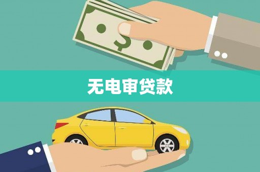 小金无电审贷款