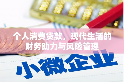 小金个人消费贷款，现代生活的财务助力与风险管理