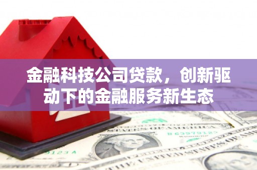 小金金融科技公司贷款，创新驱动下的金融服务新生态