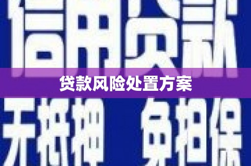 小金贷款风险处置方案