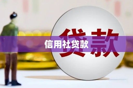 小金信用社贷款
