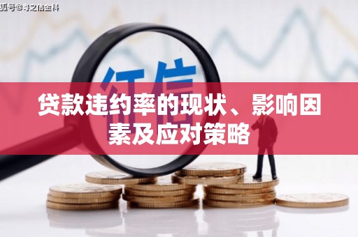 小金贷款违约率的现状、影响因素及应对策略