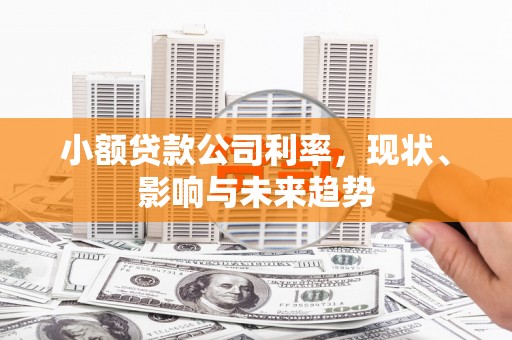 小金小额贷款公司利率，现状、影响与未来趋势