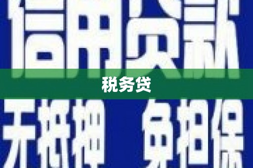 小金税务贷