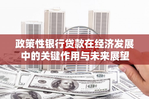 小金政策性银行贷款在经济发展中的关键作用与未来展望