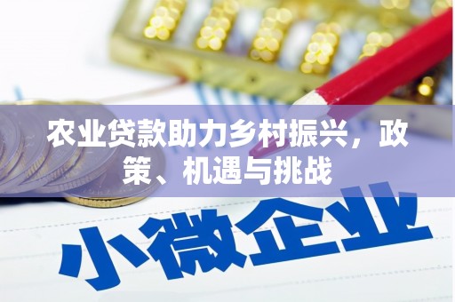 小金农业贷款助力乡村振兴，政策、机遇与挑战
