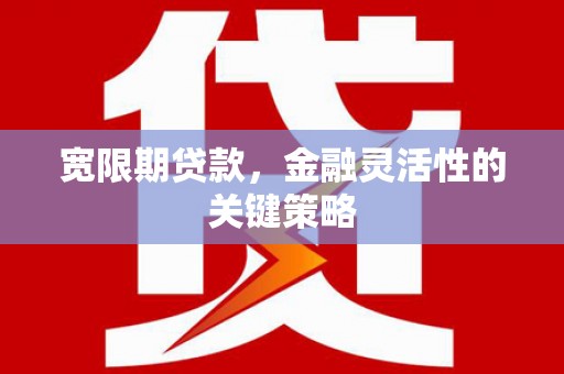 小金宽限期贷款，金融灵活性的关键策略