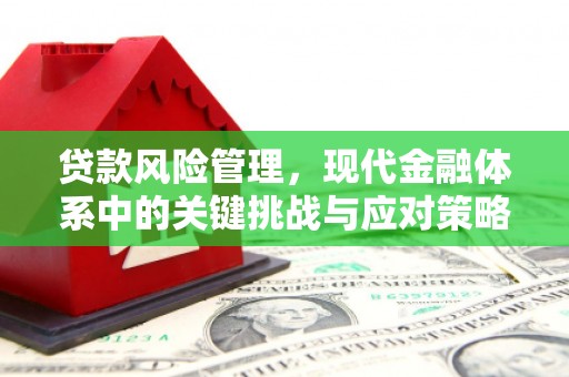 小金贷款风险管理，现代金融体系中的关键挑战与应对策略