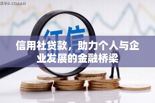 小金信用社贷款，助力个人与企业发展的金融桥梁