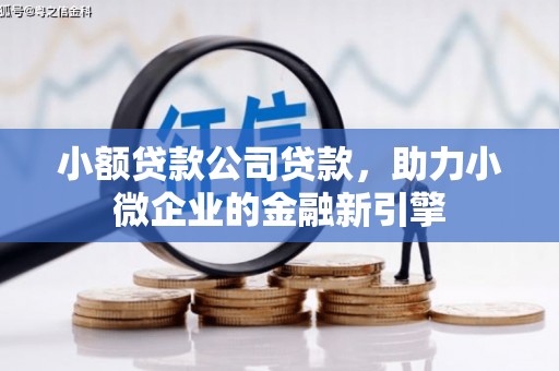 小金小额贷款公司贷款，助力小微企业的金融新引擎