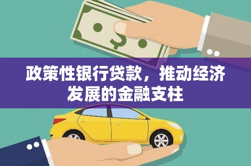 小金政策性银行贷款，推动经济发展的金融支柱