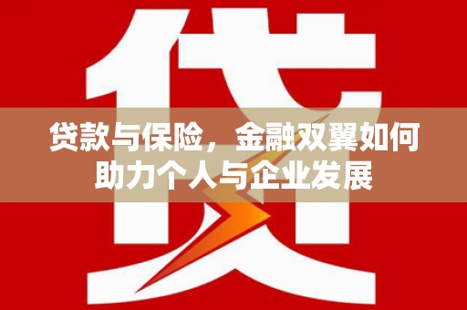 小金贷款与保险，金融双翼如何助力个人与企业发展