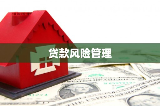 小金贷款风险管理