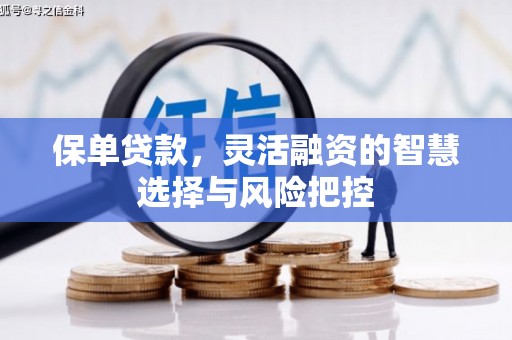 小金保单贷款，灵活融资的智慧选择与风险把控