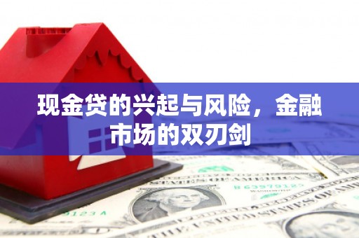 小金现金贷的兴起与风险，金融市场的双刃剑