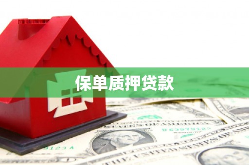 小金保单质押贷款