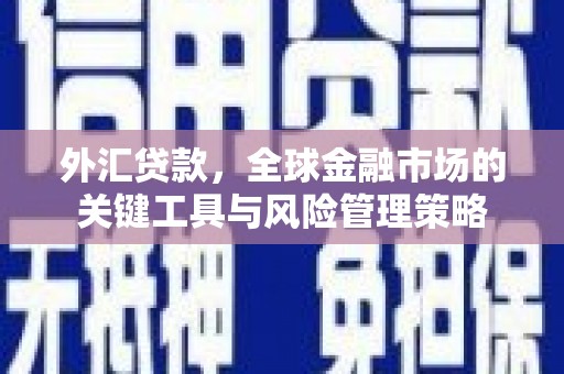 小金外汇贷款，全球金融市场的关键工具与风险管理策略