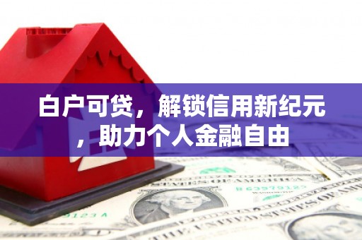 小金白户可贷，解锁信用新纪元，助力个人金融自由