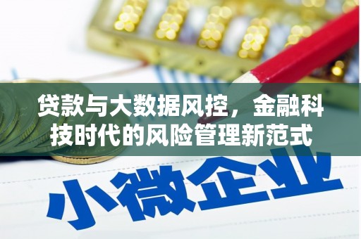 小金贷款与大数据风控，金融科技时代的风险管理新范式